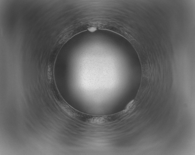 X0000052990086200507221232