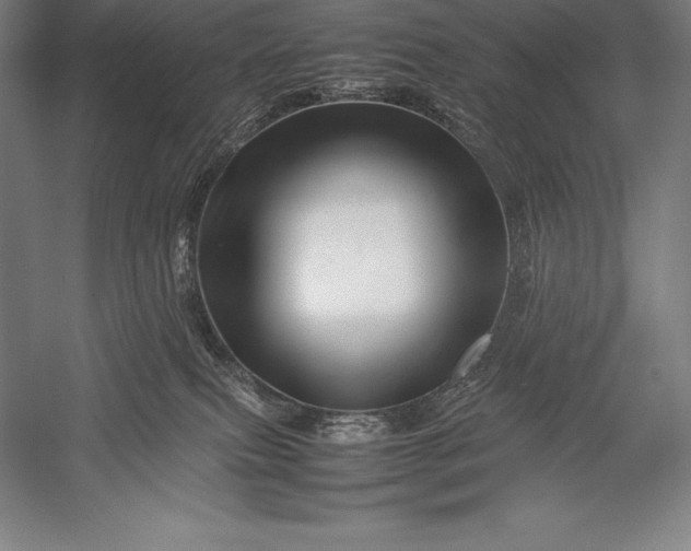 X0000052990087200507221232