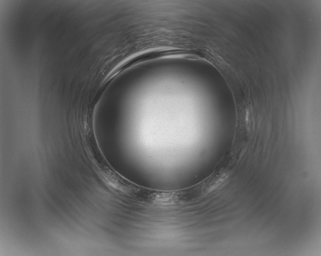X0000052990088200507221232