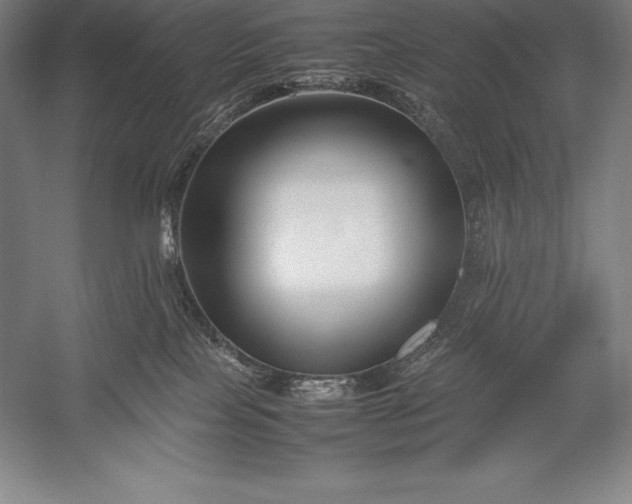 X0000052990089200507221232