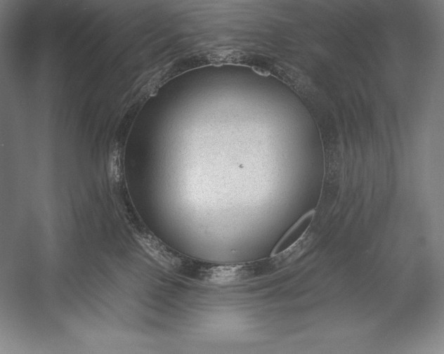 X0000052990090200507221232
