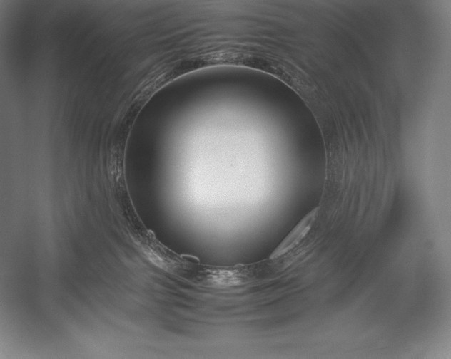 X0000052990091200507221232