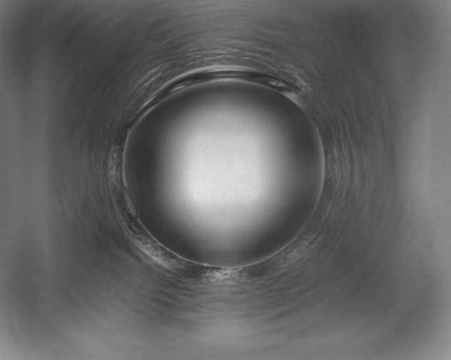 X0000052990092200507221232