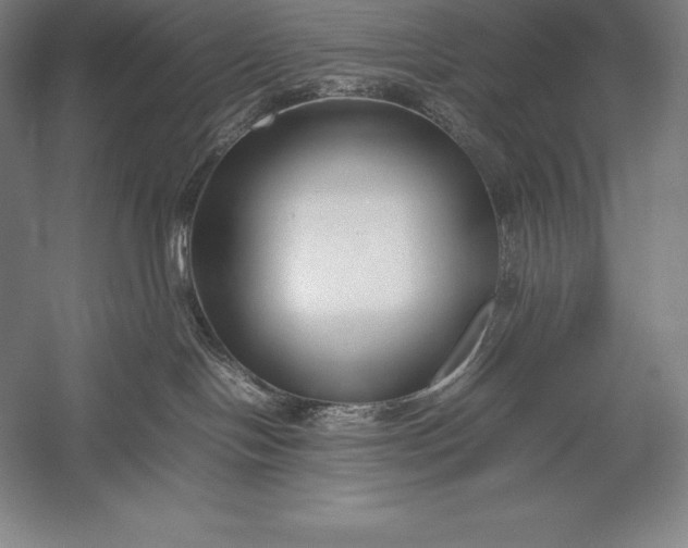 X0000052990094200507221232