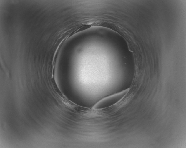 X0000052990096200507221232