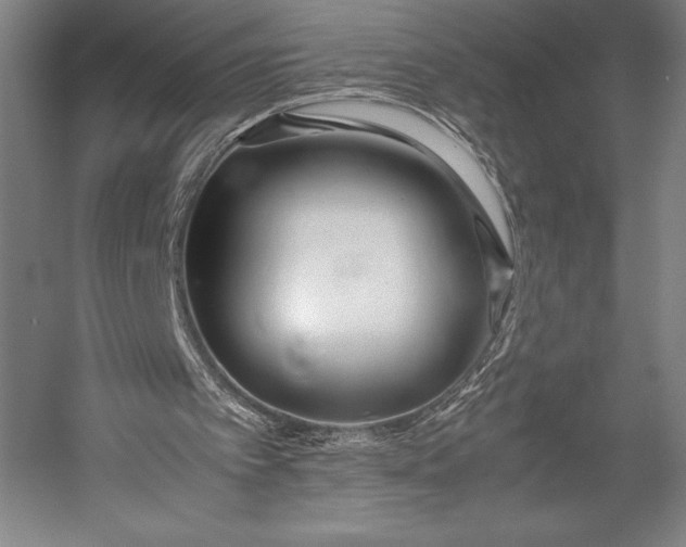 X0000052990097200507221231