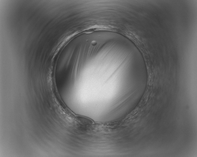 X0000052990098200507221231