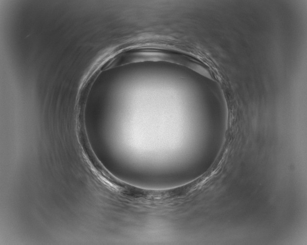 X0000052990101200507221231