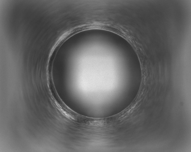 X0000052990102200507221231