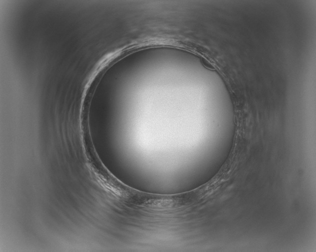 X0000052990104200507221231