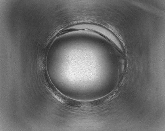 X0000052990105200507221231