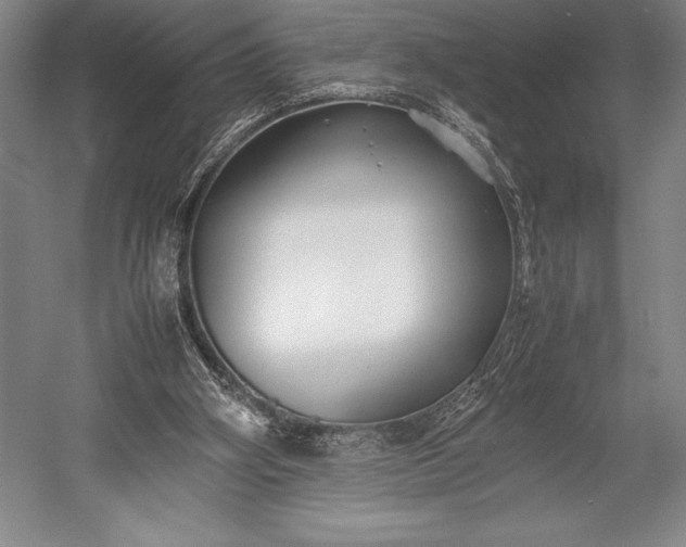 X0000052990106200507221231