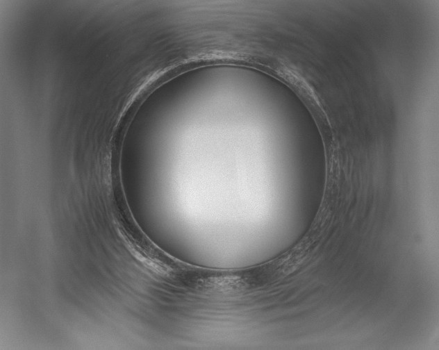 X0000052990108200507221231