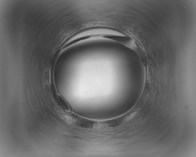 X0000052990109200507221231