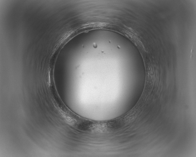 X0000052990110200507221231