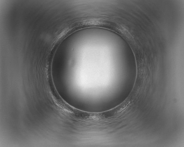 X0000052990111200507221231
