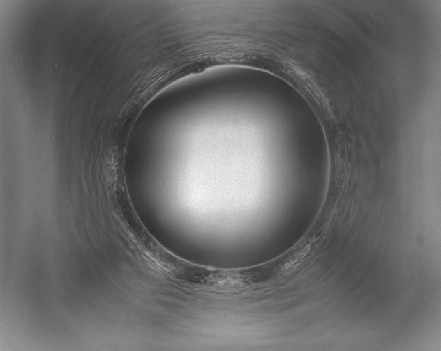 X0000052990113200507221231