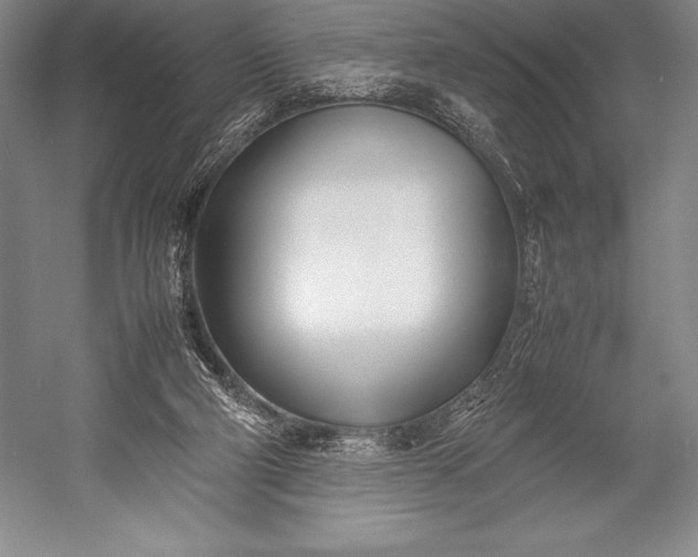 X0000052990114200507221231
