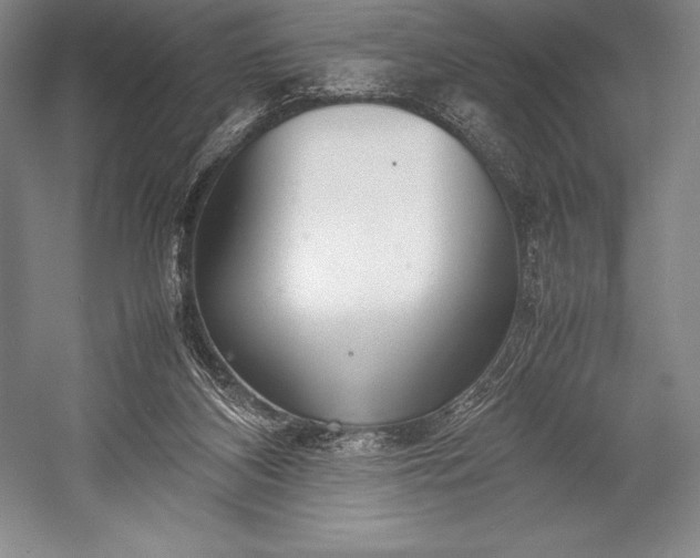 X0000052990116200507221231