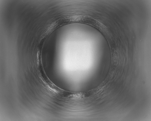 X0000052990118200507221231