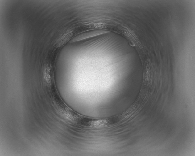 X0000052990122200507221231