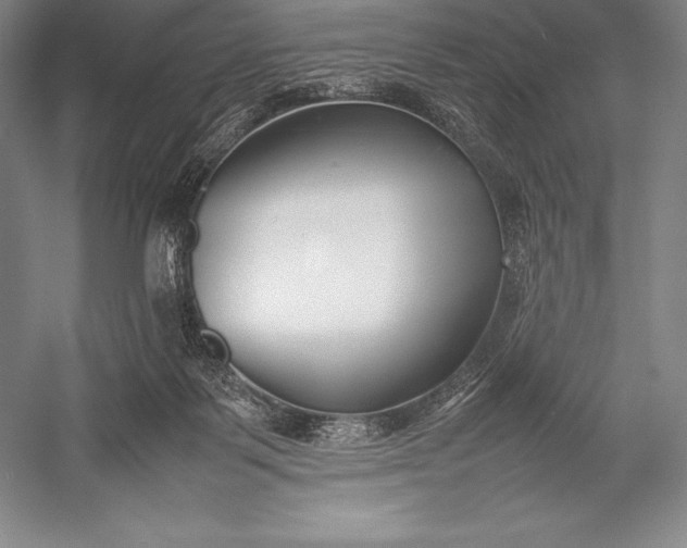 X0000052990123200507221231