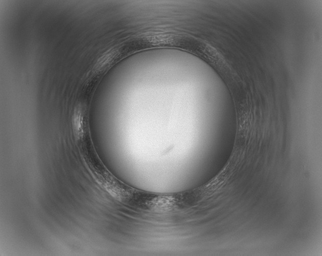 X0000052990124200507221231