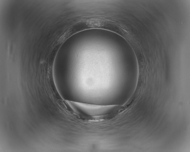 X0000052990125200507221231