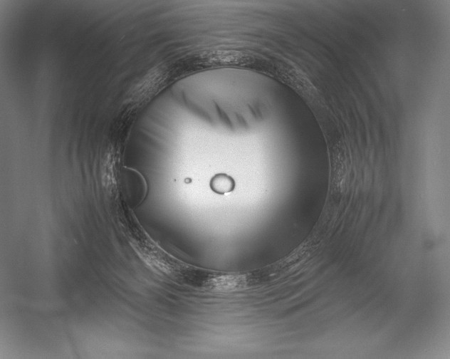 X0000052990126200507221231