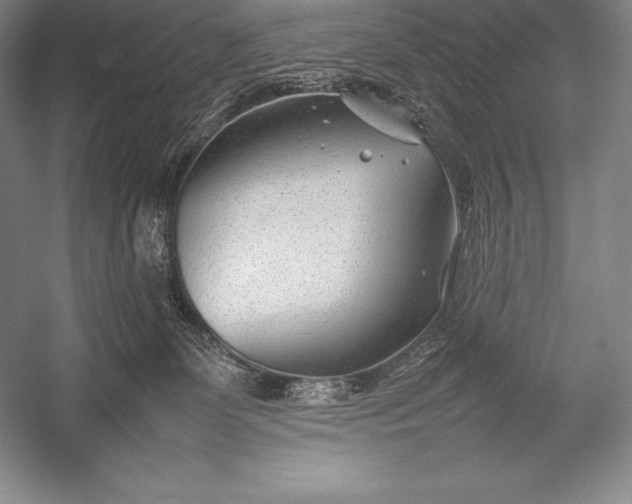 X0000052990131200507221231