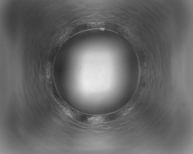 X0000052990133200507221231