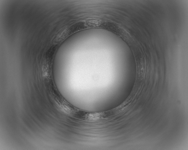 X0000052990134200507221231