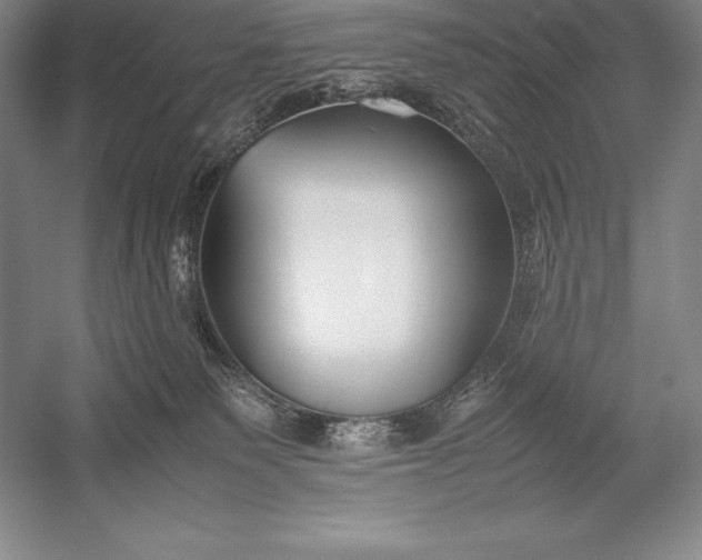 X0000052990135200507221231