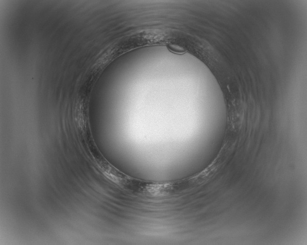 X0000052990136200507221231