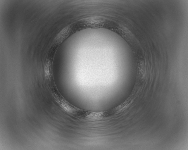 X0000052990138200507221230