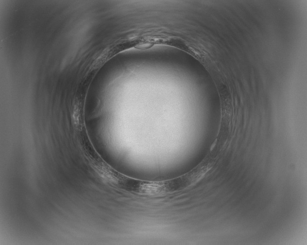 X0000052990139200507221230