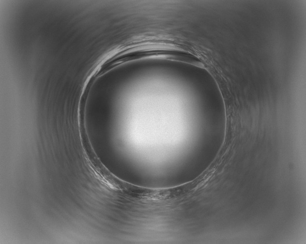 X0000052990148200507221230