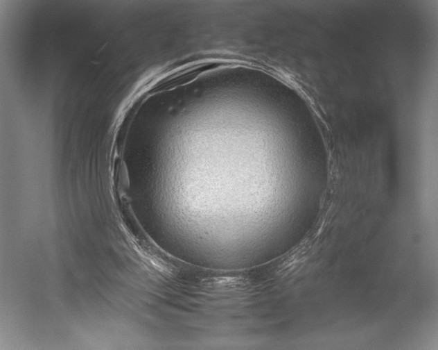 X0000052990151200507221230