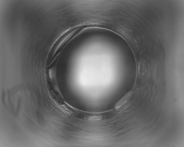 X0000052990156200507221230