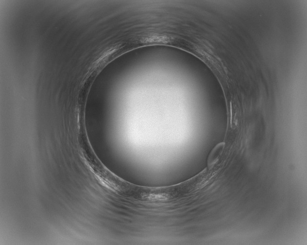 X0000052990157200507221230