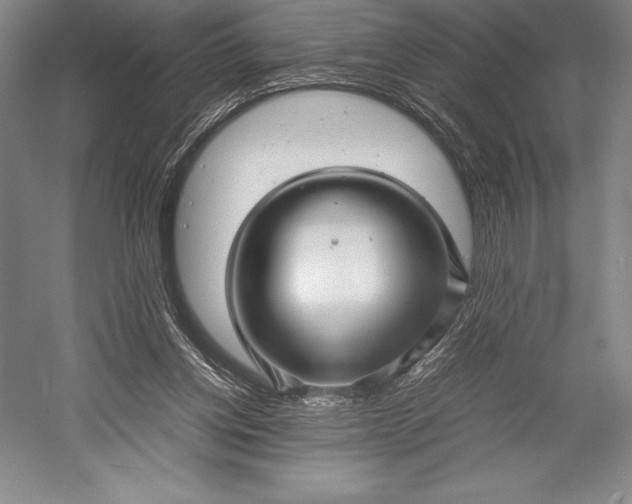 X0000052990158200507221230