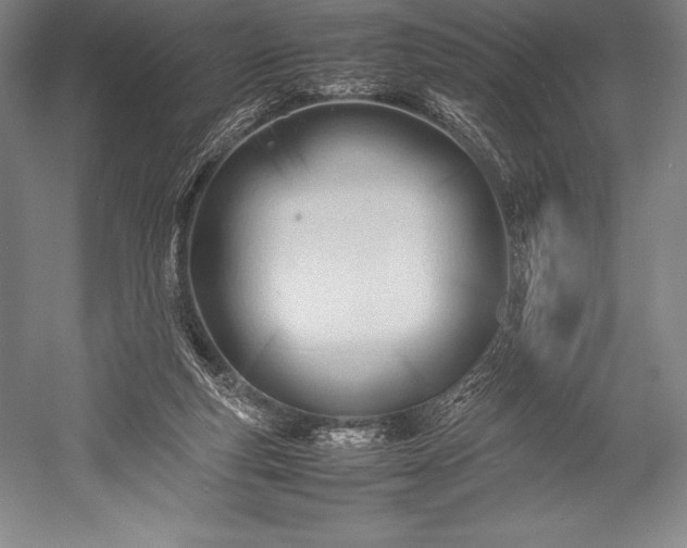 X0000052990163200507221230