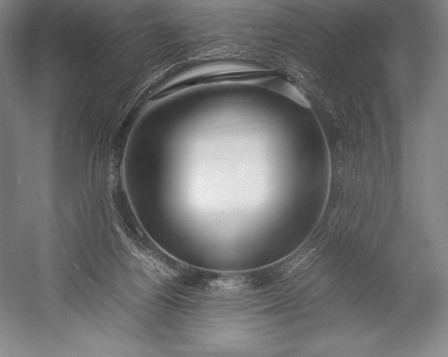 X0000052990164200507221230