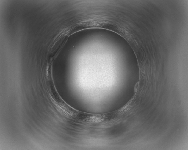 X0000052990166200507221230