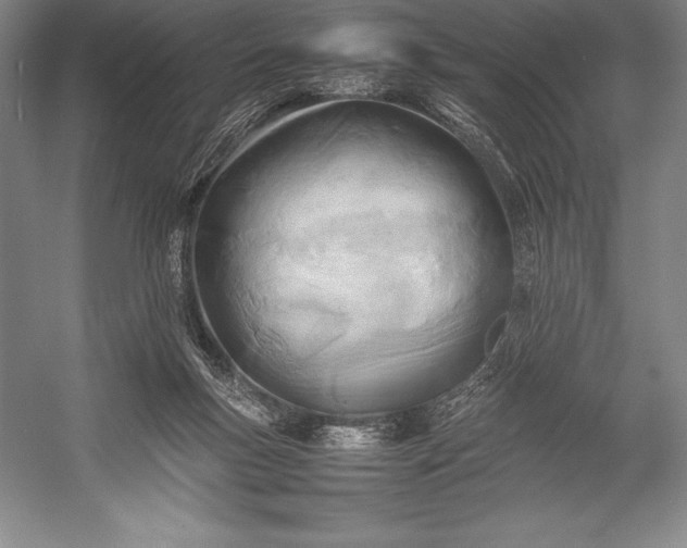 X0000052990167200507221230