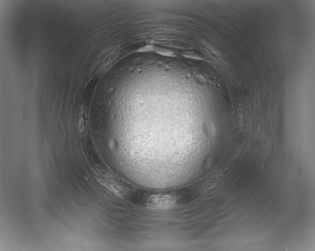 X0000052990169200507221230