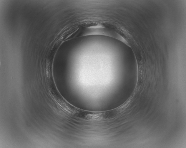 X0000052990170200507221230