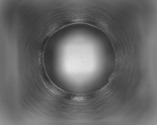 X0000052990171200507221230