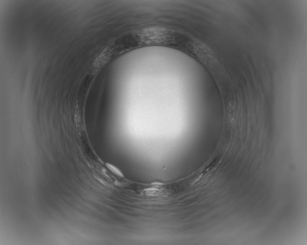 X0000052990173200507221230
