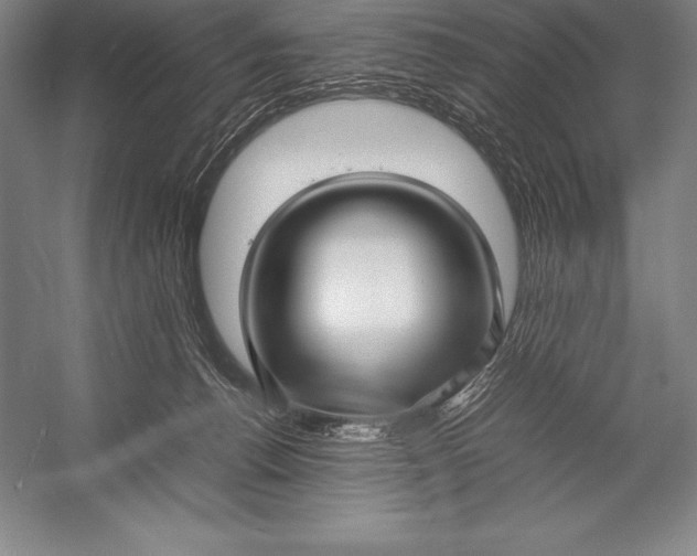 X0000052990176200507221230
